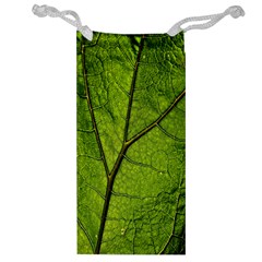 Butterbur Leaf Plant Veins Pattern Jewelry Bag by Sapixe