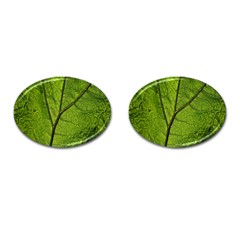 Butterbur Leaf Plant Veins Pattern Cufflinks (oval)