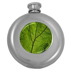 Butterbur Leaf Plant Veins Pattern Round Hip Flask (5 Oz) by Sapixe