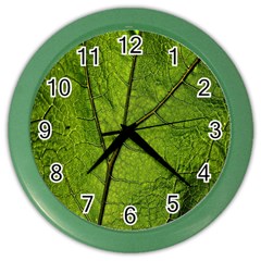 Butterbur Leaf Plant Veins Pattern Color Wall Clock