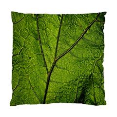 Butterbur Leaf Plant Veins Pattern Standard Cushion Case (one Side) by Sapixe