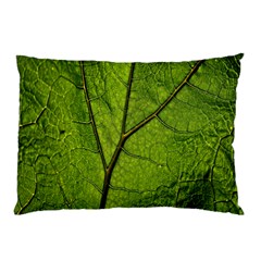 Butterbur Leaf Plant Veins Pattern Pillow Case by Sapixe