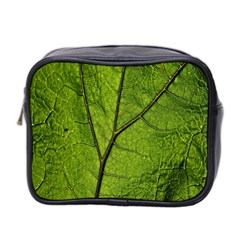 Butterbur Leaf Plant Veins Pattern Mini Toiletries Bag (two Sides) by Sapixe