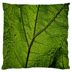 Butterbur Leaf Plant Veins Pattern Large Cushion Case (one Side) by Sapixe