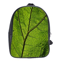 Butterbur Leaf Plant Veins Pattern School Bag (xl) by Sapixe