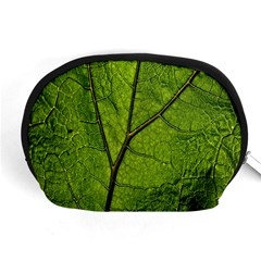 Butterbur Leaf Plant Veins Pattern Accessory Pouch (medium) by Sapixe