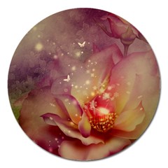 Wonderful Roses With Butterflies And Light Effects Magnet 5  (round) by FantasyWorld7