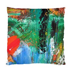 Garden  3 Standard Cushion Case (two Sides) by WILLBIRDWELL