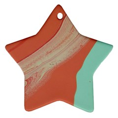 Clay And Water Ornament (star)