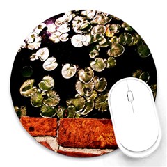 Highland Park 4 Round Mousepads by bestdesignintheworld