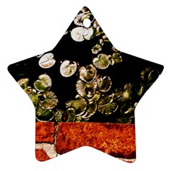 Highland Park 4 Ornament (star)