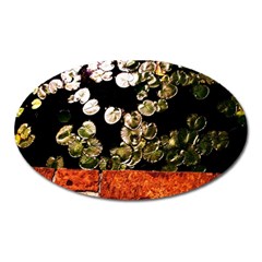 Highland Park 4 Oval Magnet