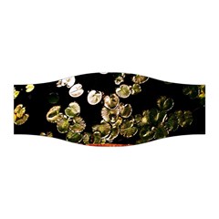 Highland Park 4 Stretchable Headband