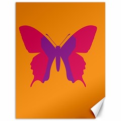 Butterfly Wings Insect Nature Canvas 12  X 16  by Nexatart