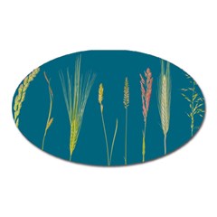 Grass Grasses Blade Of Grass Oval Magnet by Nexatart