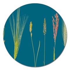 Grass Grasses Blade Of Grass Magnet 5  (round) by Nexatart