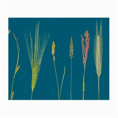 Grass Grasses Blade Of Grass Small Glasses Cloth by Nexatart