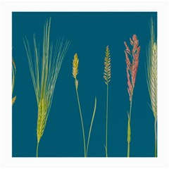 Grass Grasses Blade Of Grass Medium Glasses Cloth by Nexatart