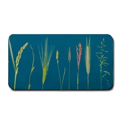 Grass Grasses Blade Of Grass Medium Bar Mats by Nexatart