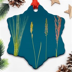 Grass Grasses Blade Of Grass Snowflake Ornament (two Sides) by Nexatart