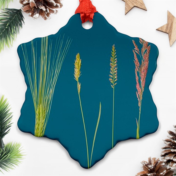 Grass Grasses Blade Of Grass Snowflake Ornament (Two Sides)