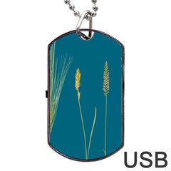 Grass Grasses Blade Of Grass Dog Tag Usb Flash (two Sides) by Nexatart