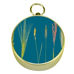 Grass Grasses Blade Of Grass Gold Compasses by Nexatart