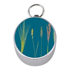 Grass Grasses Blade Of Grass Mini Silver Compasses by Nexatart