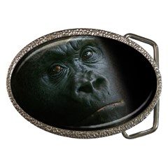 Gorilla Monkey Zoo Animal Belt Buckles by Nexatart