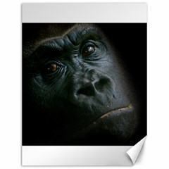 Gorilla Monkey Zoo Animal Canvas 12  X 16  by Nexatart