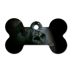 Gorilla Monkey Zoo Animal Dog Tag Bone (one Side) by Nexatart