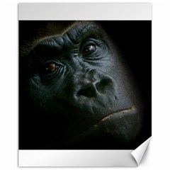 Gorilla Monkey Zoo Animal Canvas 11  X 14  by Nexatart