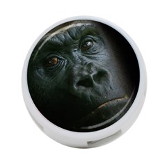 Gorilla Monkey Zoo Animal 4-port Usb Hub (two Sides) by Nexatart