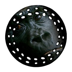 Gorilla Monkey Zoo Animal Round Filigree Ornament (two Sides) by Nexatart