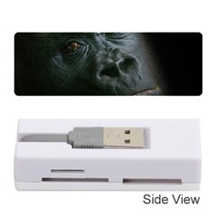 Gorilla Monkey Zoo Animal Memory Card Reader (stick) by Nexatart