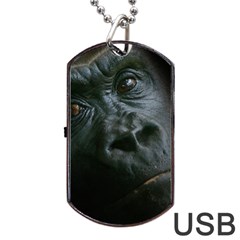 Gorilla Monkey Zoo Animal Dog Tag Usb Flash (one Side) by Nexatart