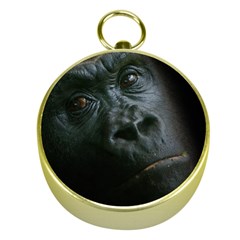 Gorilla Monkey Zoo Animal Gold Compasses by Nexatart