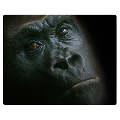 Gorilla Monkey Zoo Animal Double Sided Flano Blanket (medium)  by Nexatart