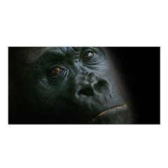 Gorilla Monkey Zoo Animal Satin Shawl by Nexatart