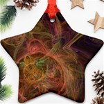 Abstract Colorful Art Design Star Ornament (Two Sides) Front