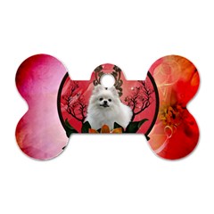 Cute Pemeranian With Flowers Dog Tag Bone (one Side) by FantasyWorld7