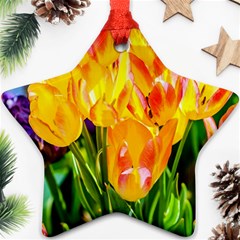 Festival Of Tulip Flowers Ornament (star) by FunnyCow