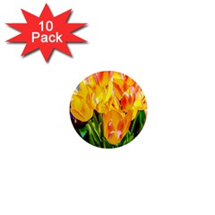 Festival Of Tulip Flowers 1  Mini Magnet (10 Pack)  by FunnyCow