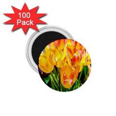 Festival Of Tulip Flowers 1 75  Magnets (100 Pack)  by FunnyCow