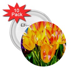 Festival Of Tulip Flowers 2 25  Buttons (10 Pack)  by FunnyCow