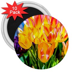 Festival Of Tulip Flowers 3  Magnets (10 Pack)  by FunnyCow