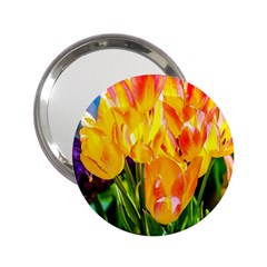 Festival Of Tulip Flowers 2 25  Handbag Mirrors by FunnyCow