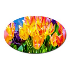 Festival Of Tulip Flowers Oval Magnet by FunnyCow