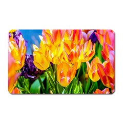 Festival Of Tulip Flowers Magnet (rectangular) by FunnyCow