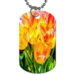 Festival Of Tulip Flowers Dog Tag (Two Sides) Front